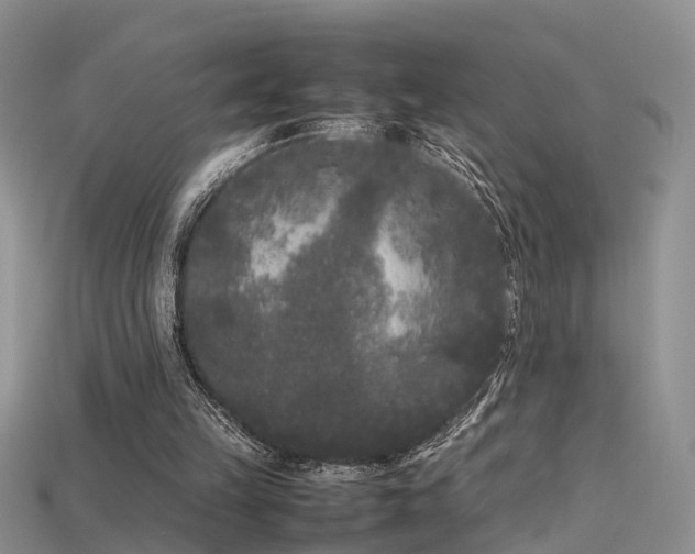 X0000115720149200911121458