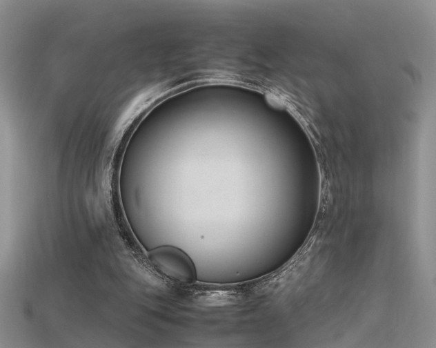 X0000115720151200911121458