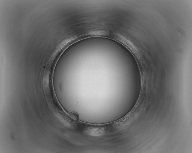 X0000115720155200911121458