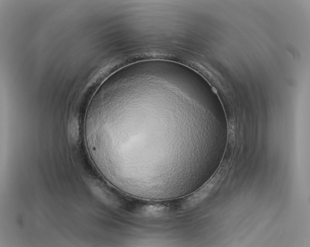 X0000115720158200911121458