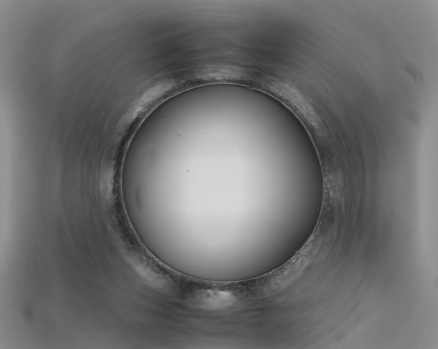 X0000115720159200911121458