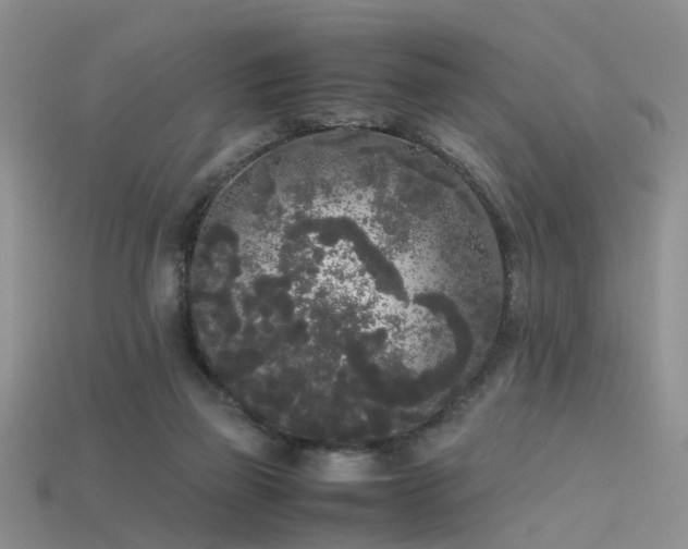 X0000115720165200911121458