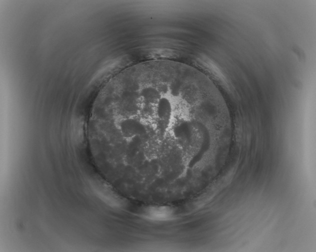 X0000115720169200911121458