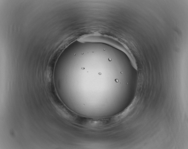 X0000115720174200911121458