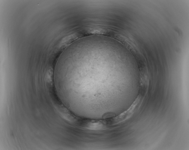 X0000115720175200911121458