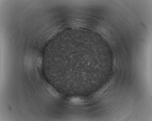 X0000115720177200911121458