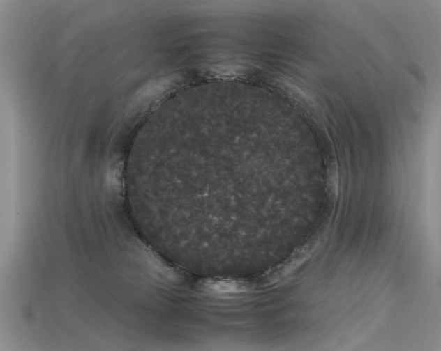 X0000115720181200911121458