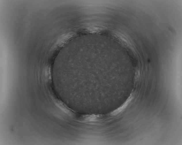 X0000115720182200911121458