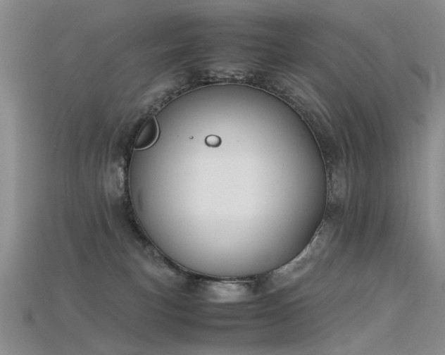 X0000115720183200911121458