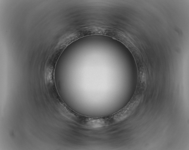 X0000115720185200911121459