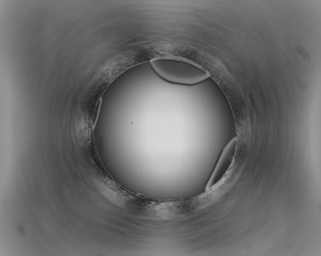 X0000115720186200911121459