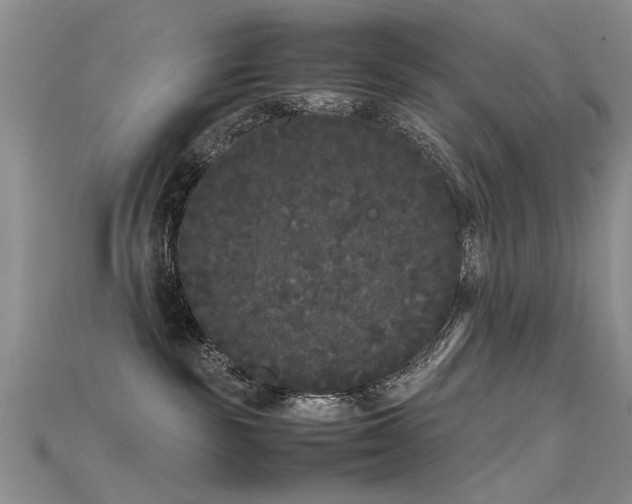 X0000115720189200911121459
