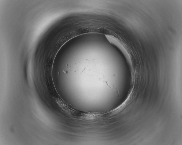 X0000115720190200911121459