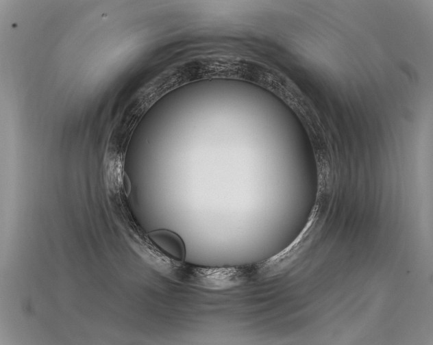 X0000115720191200911121459
