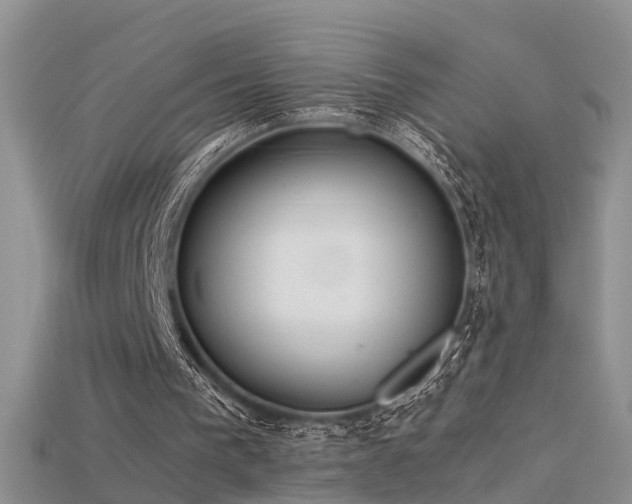 X0000115720193200911121458
