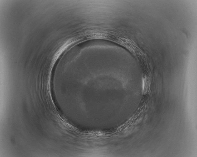 X0000115720195200911121458
