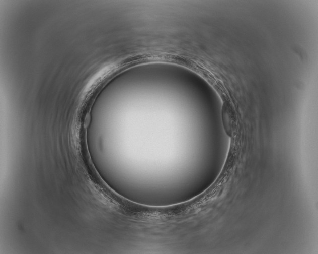 X0000115720197200911121458