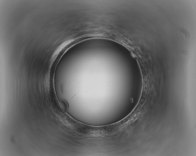 X0000115720200200911121458