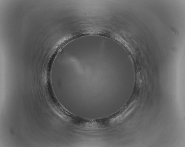 X0000115720203200911121458