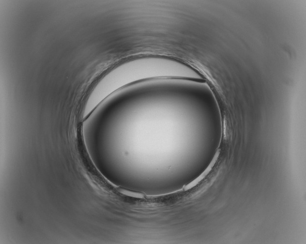 X0000115720205200911121458