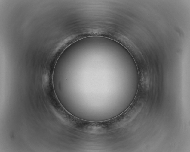 X0000115720208200911121458