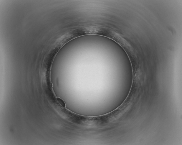 X0000115720209200911121458