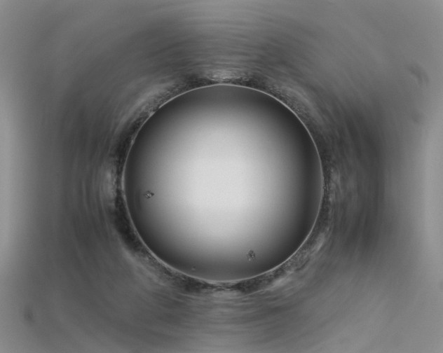 X0000115720210200911121458