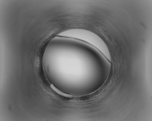 X0000115720211200911121458