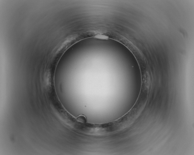X0000115720212200911121458