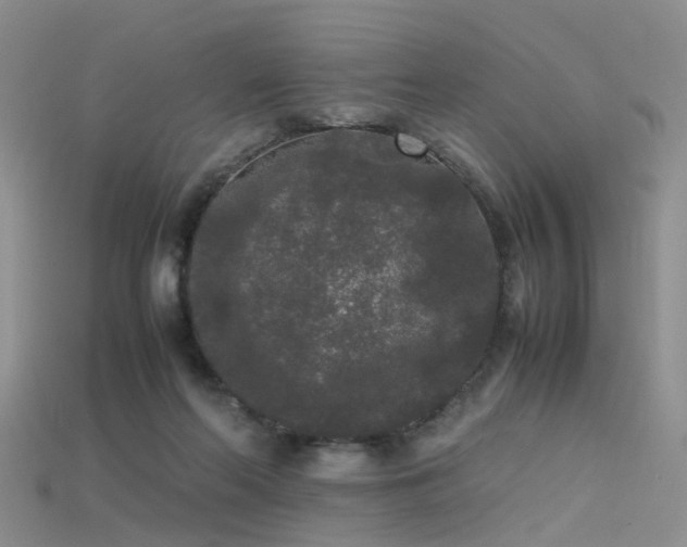 X0000115720214200911121458