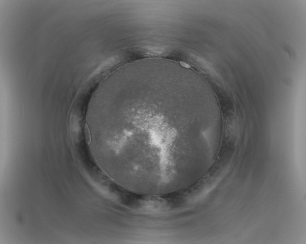 X0000115720215200911121458