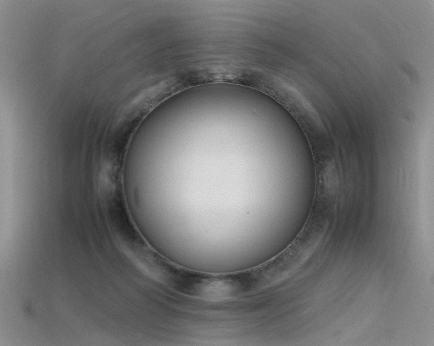 X0000115720218200911121458