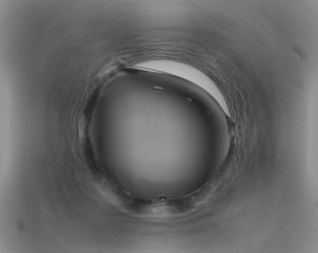 X0000115720219200911121458
