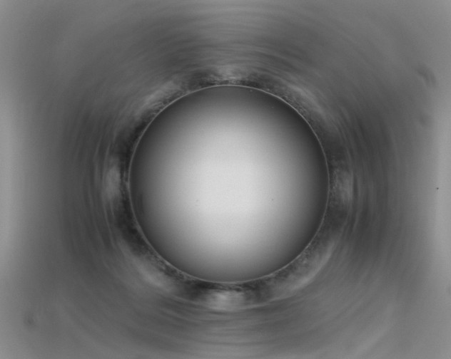 X0000115720220200911121458