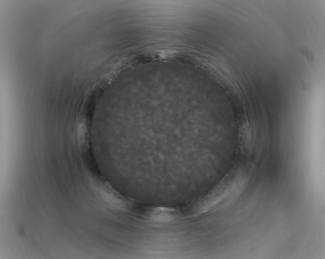 X0000115720222200911121458