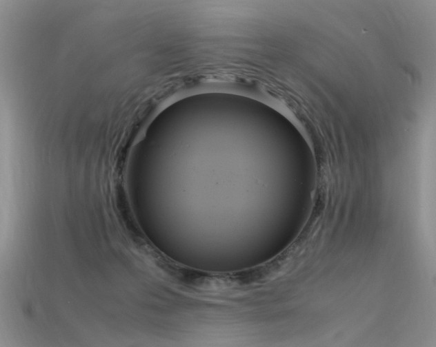 X0000115720223200911121458
