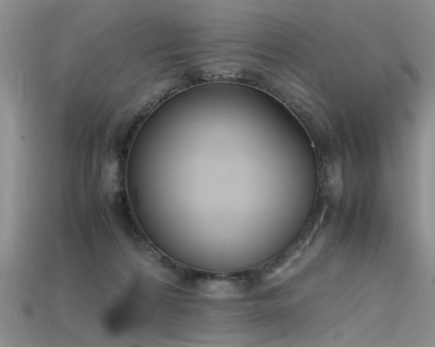 X0000115720224200911121458