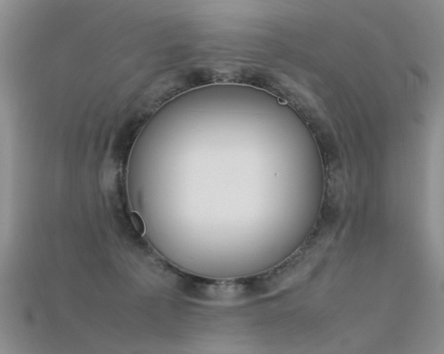 X0000115720225200911121458