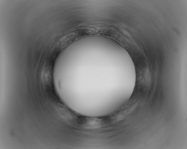 X0000115720226200911121458