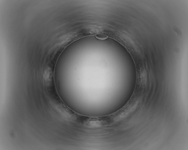 X0000115720228200911121458