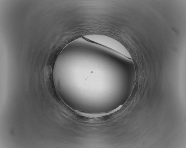 X0000115720229200911121458