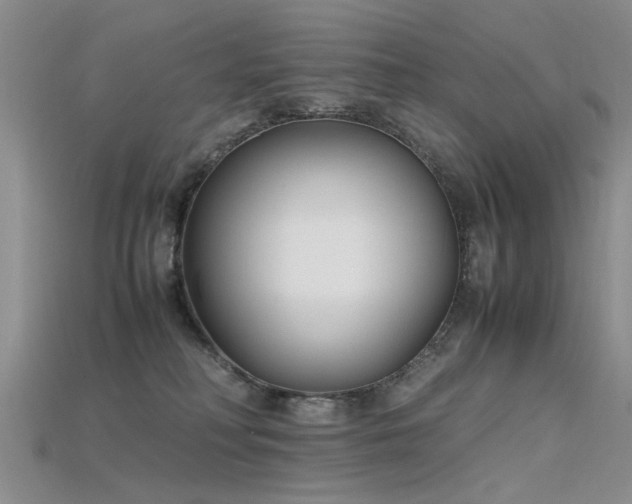 X0000115720230200911121458