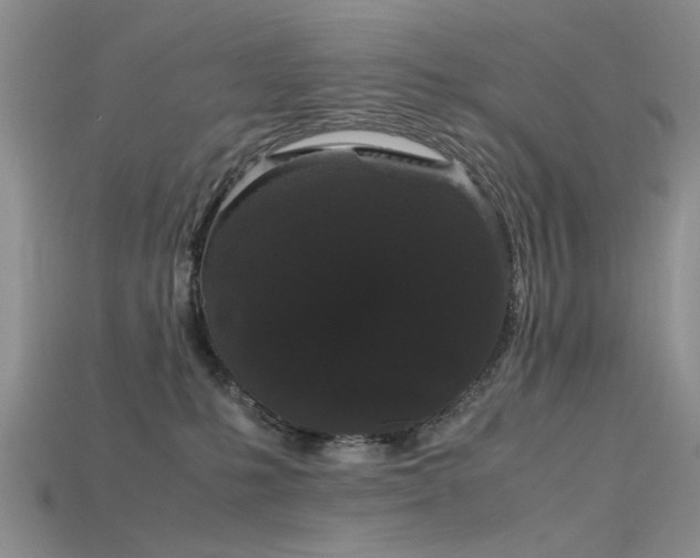 X0000115720231200911121458