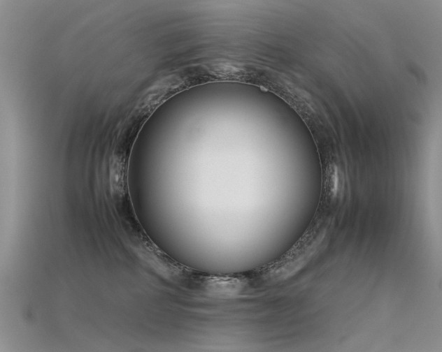 X0000115720234200911121457