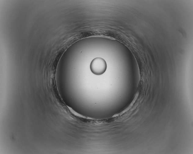 X0000115720235200911121457