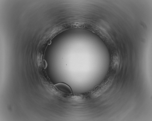 X0000115720236200911121457