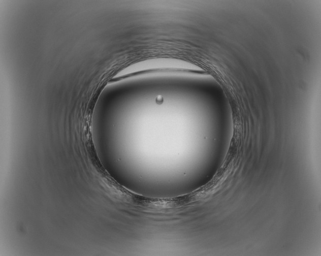 X0000115720237200911121457
