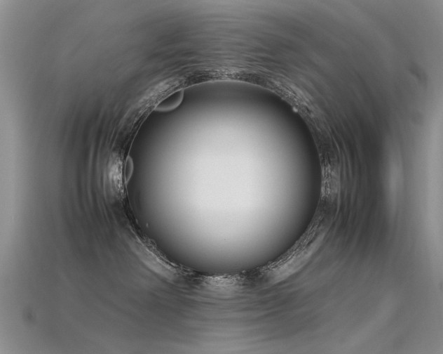X0000115720238200911121457