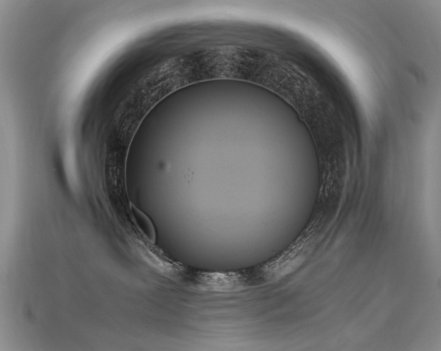 X0000115720239200911121457