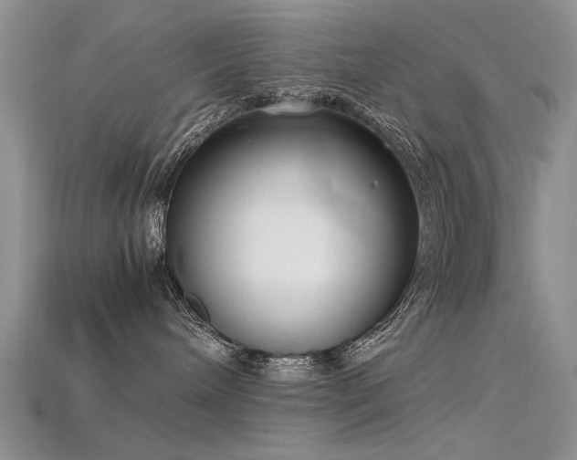 X0000115720240200911121457